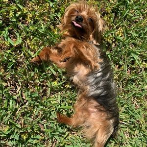 Meet your Posher, Tracey